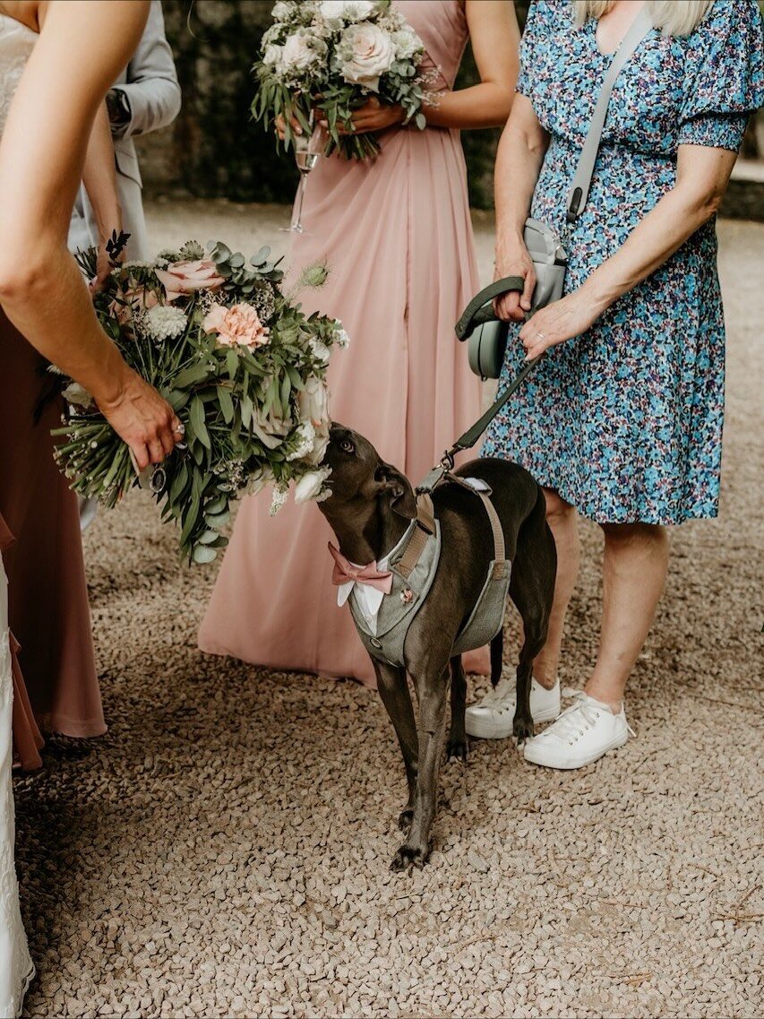 Instagram post from paddoxflowers. This post is in position 1.