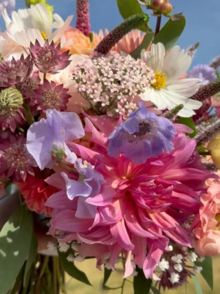 Instagram post from paddoxflowers. This post is in position 2.