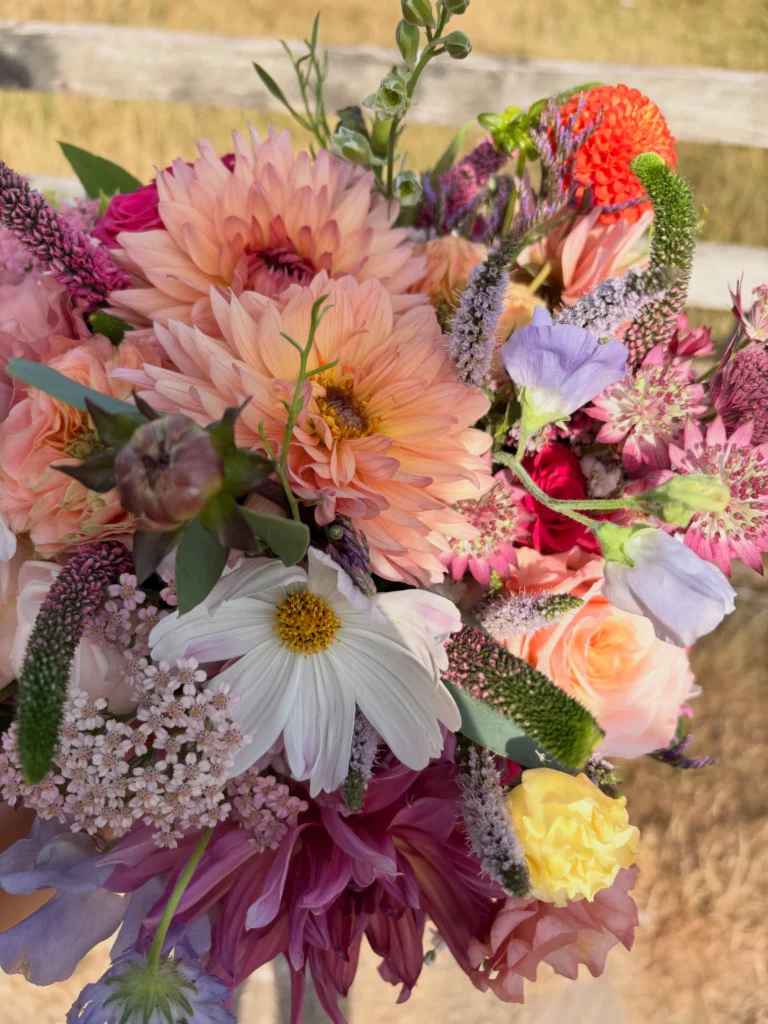 Instagram post from paddoxflowers. This post is in position 2.