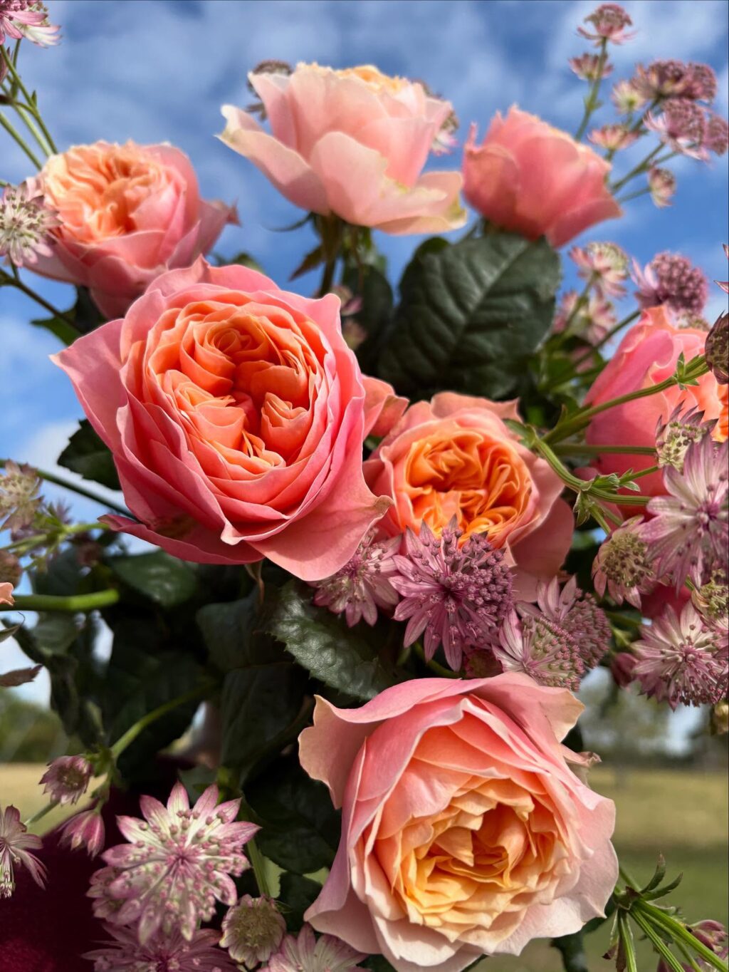 Instagram post from paddoxflowers. This post is in position 4.